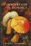 Colnect-3016-432-Russula-matoubenis.jpg