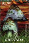 Colnect-3073-693-Coprinus-as-Corinus-comatus.jpg