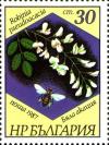 Colnect-4823-982-Black-locust-Robinia-pseudoacacia.jpg