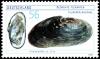 Colnect-5204-132-Freshwater-Pearl-Mussel-Margaritifera-margaritifera.jpg