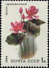 Colnect-6331-225-Lotus-Nelumbo-nucifera.jpg