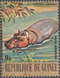 Colnect-1975-609-Hippopotamus-Hippopotamus-amphibius.jpg