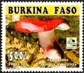 Colnect-2081-056-Russula-sanguinea.jpg