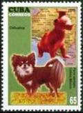 Colnect-2861-491-Chihuahua-Canis-lupus-familiaris-Jug-of-Colima-Mexico.jpg