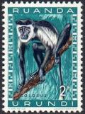 Colnect-964-496-Colobus-Monkey-Colobus-sp.jpg