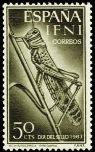 Colnect-1371-456-Desert-Locust-Schistocerca-gregaria-.jpg