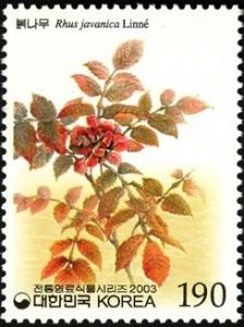 Colnect-1606-141-Rhus-javanica-Linn%C3%A9.jpg