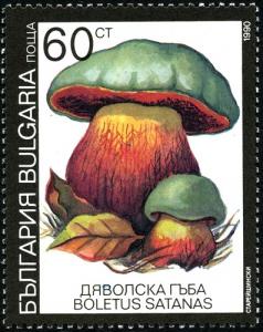 Colnect-2115-508-Poisonous-mushrooms---Boletus-satanas.jpg