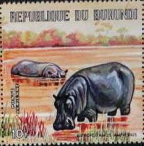 Colnect-2182-891-Hippopotamus-Hippopotamus-amphibius.jpg