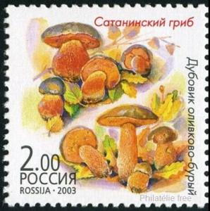 Colnect-2024-485-Boletus-satanus---Bluridus.jpg