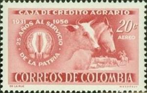 Colnect-1139-224-Cattle-Bos%C2%A0primigenius-taurus-Horse-Equus-ferus-caballus.jpg