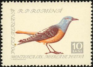 Colnect-1477-108-Rock-Thrush-Monticola-saxatilis.jpg