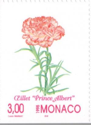 Colnect-149-803-Dianthus---Prince-Albert--.jpg