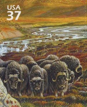 Colnect-202-147-Muskox-Ovibos-moschatus-Caribou-Rangifer-tarandus-caribo.jpg