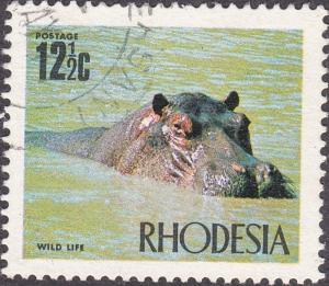 Colnect-2032-446-Hippopotamus-Hippopotamus-amphibius.jpg