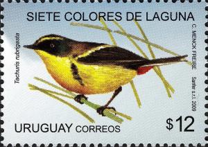 Colnect-2043-609-Many-coloured-Rush-tyrant-Tachuris-rubrigasta.jpg