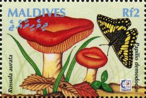 Colnect-2978-870-Gilded-Brittlegill-Russula-aurata-Citrus-Swallowtail-Pap.jpg