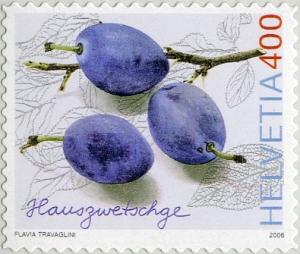 Colnect-750-893-Hauszwetschge-plums.jpg