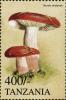 Colnect-3277-787-Russula-rhodopoda.jpg