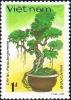 Colnect-5876-924-Ficus-Ficus-benjamina.jpg