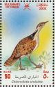 Colnect-1464-144-MacQueen-s-Bustard-Chlamydotis-undulata.jpg