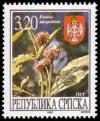 Colnect-569-602-Knautia-sarajevensis.jpg