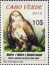 Colnect-5710-291-Buteo-bannermanni.jpg