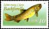 Colnect-975-223-Brown-Trout-Salmo-trutta-f-fario.jpg