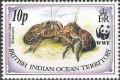 Colnect-1544-513-Coconut-Crab-Birgus-latro-.jpg