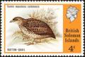 Colnect-3961-252-Red-backed-Buttonquail-Turnix-maculosus.jpg