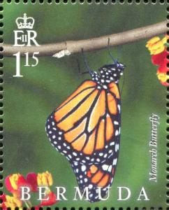 Colnect-4279-579-Monarch-Butterfly-Danaus-plexippus.jpg