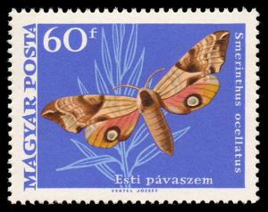 1967_Moth_Butterly_60.jpg