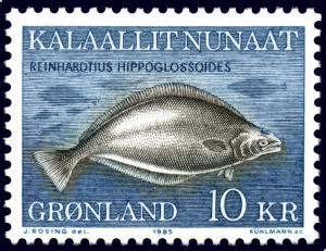 Colnect-1676-841-Greenland-Halibut-Reinhardtius-hippoglossoides.jpg