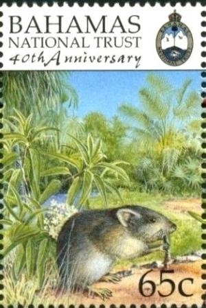 Colnect-3523-070-Bahamian-Hutia-Geocapromys-ingrahami.jpg