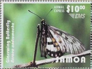 Colnect-3617-312-Glasswing-Butterfly-Acraea-andromacha.jpg