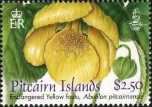 Colnect-5888-252-Yellow-fautu-abutilon-pitcairnense.jpg