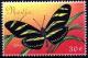 Colnect-2464-119-Zebra-Longwing-Butterfly-Heliconius-charithonia.jpg