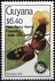 Colnect-3453-656-Longwing-Butterfly-Heliconius-tales.jpg