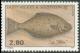 Colnect-877-389-Atlantic-Halibut-Hippoglossus-hippoglossus.jpg