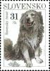 Colnect-5170-446-Slovensky-Cuvac-Canis-lupus-familiaris.jpg