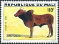 Colnect-2273-554-Maure-Zebu-Bos-primigenius-indicus.jpg