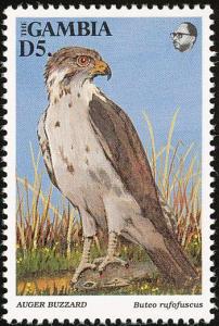 Colnect-1462-517-Jackal-Buzzard-Buteo-rufofuscus.jpg