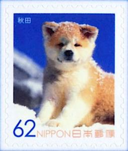 Colnect-5284-638-Akita-Inu-Canis-lupus-familiaris.jpg