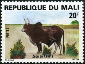 Colnect-1049-617-Kaarta-Zebu-Bos-primigenius-indicus.jpg