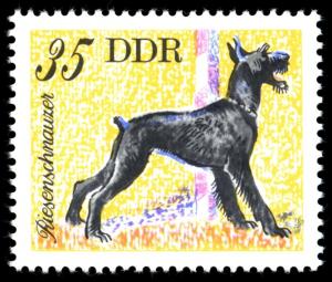 Colnect-1979-925-Giant-Schnauzer-Canis-lupus-familiaris.jpg