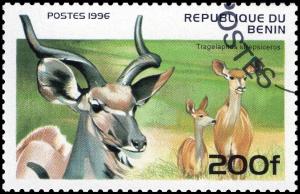 Colnect-3560-439-Greater-Kudu-Tragelaphus-strepsiceros.jpg