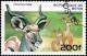 Colnect-3560-439-Greater-Kudu-Tragelaphus-strepsiceros.jpg