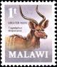 Colnect-6017-722-Greater-Kudu-Tragelaphus-strepsiceros.jpg