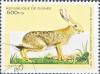 Colnect-1150-192-African-Savanna-Hare-Lepus-crawshayi.jpg