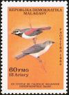 Colnect-2035-042-Red-shouldered-Vanga-Calicalicus-rufocarpalis.jpg